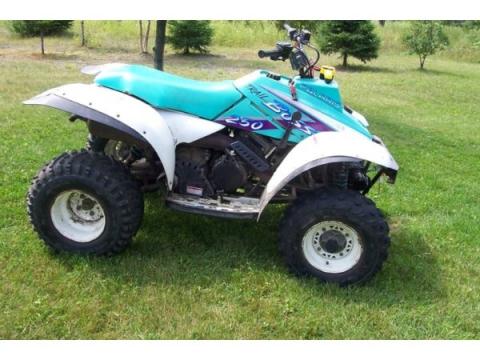 1990 Polaris Trail Boss 250 2x4 | MASSFX