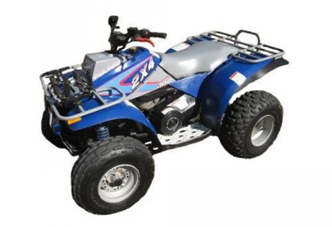 Polaris 300 hot sale 2 stroke